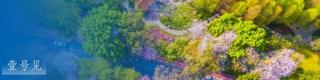 央视热播！就在身边，不少越秀街坊天天见