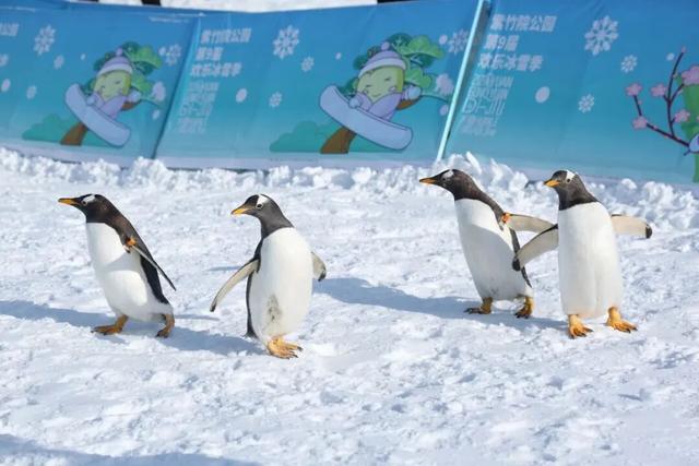 走，这个周末，一起在北京滑滑梯！