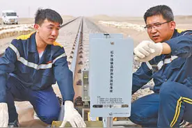 荒漠里的护路人（守望）图片