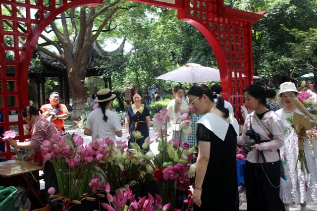江苏苏州：荷花市集热闹非凡