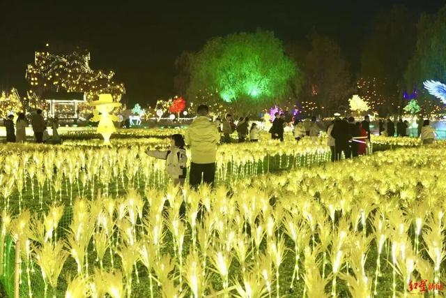 成都灯会集体官宣，期待值拉满~