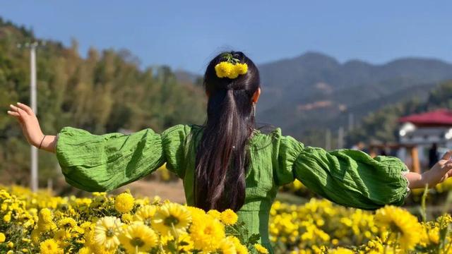 嘿，一起“采菊东篱”，就在这→