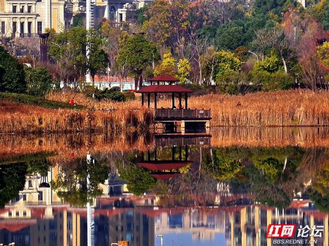 漫步神农湖：在城市的喧嚣边缘，寻一方安宁