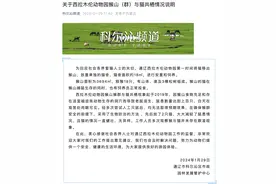 又一动物园猴群与猫共栖？当地发布情况说明图片
