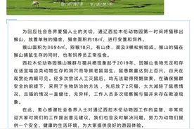 又一动物园猴群与猫共栖？当地发布情况说明图片