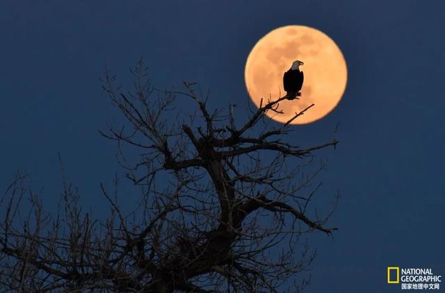 2026年不可错过的12大天象奇观——从壮丽日全食到震撼极光秀