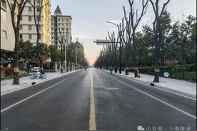 “绣”出美丽“天际线”！2025这项市民关注的工程已率先启动图片