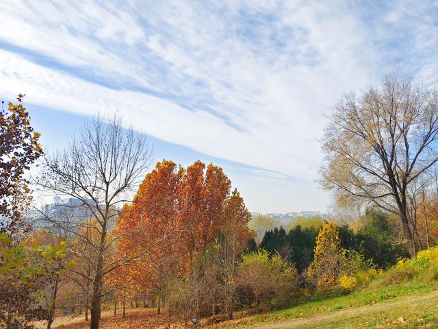 秋深冬浅时，奥森浸染缤纷色彩