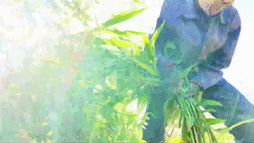 郴州这些原生态古村，藏着地道的湘南人文密码