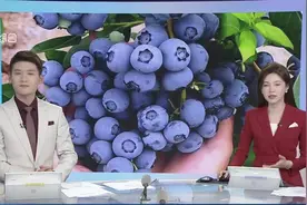 蓝莓“肚脐眼”不干净？因结构特殊易滋生霉菌视频封面