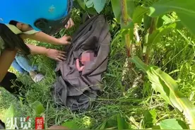 四川汉源一女婴被村民捡到 民政局：孩子胎盘脐带均未剪图片