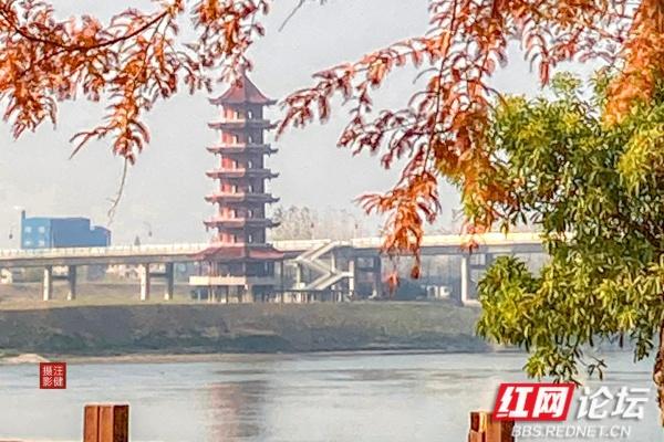 安乡桥景：塔影桥声里的故乡