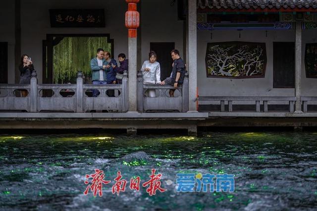一年四季 泉在济南丨济南趵突泉水位上涨至 29.14 米，“水涌若轮”引游客争相赏泉