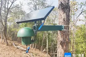 海南周刊 | 识鸟护鸟，有AI更有爱图片