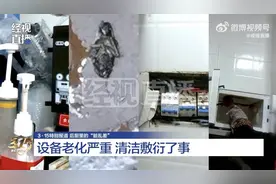 “业绩优先”食品安全成泡影 华莱士一门店被爆蟑螂横行后厨图片