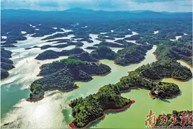 探秘境 啖荔鲜 品茶香图片