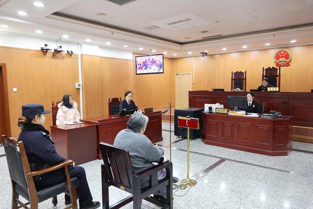 从12层扔垃圾砸坏车辆	，69岁老太被判刑