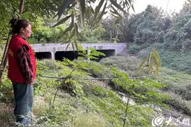 潍坊经济开发区北城街道多举措落实河长制图片