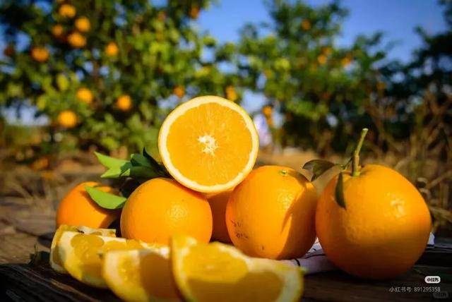 江西的那边是什么？你不用告诉我，我会在秋天自己去看