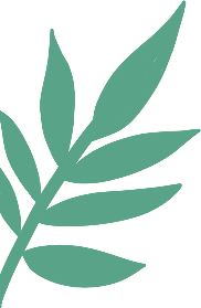 “暖冬遇见防城港”白浪滩景区沙滩车免费趣味体验活动为马拉松奔跑点燃激情！！！