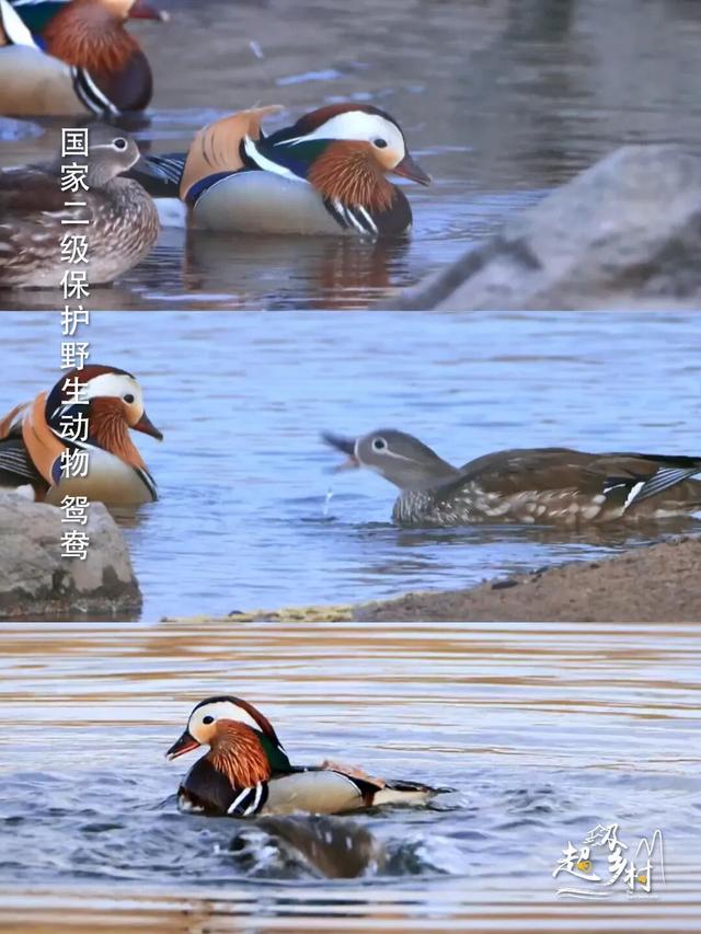10月秋景顶流旅游地，摄影师盛赞的“北疆一绝”，7日换7色。看纪录片《西拉沐沦》赏赤峰秋色