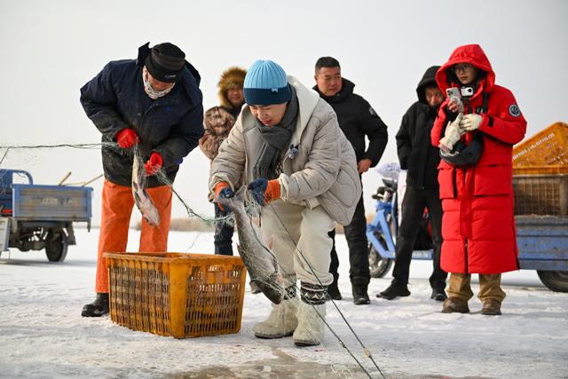 第四届哈素海冬捕节开幕在即