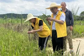 躯身阡陌，国寿财险打造乡村振兴新引擎图片