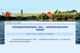 济南市槐荫区自然资源局党组成员、副局长、二级调研员傅效杰接受纪律审查和监察调查图片