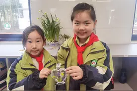 植树节 ▏孩子们制作干花书签，保留春日的色彩图片