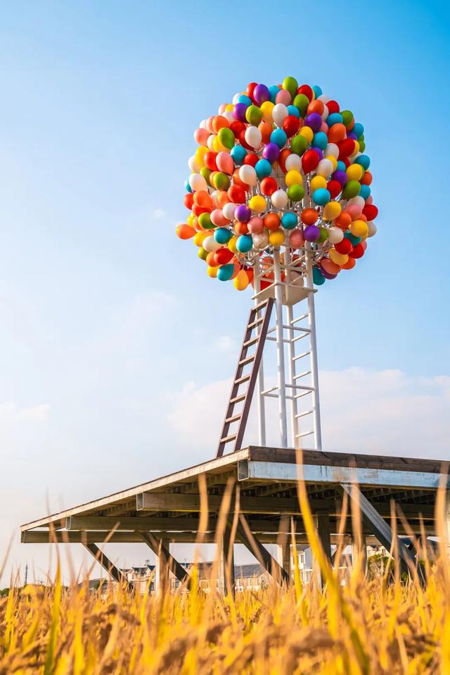 黄金稻田、绝美窗景！这个免费的爆款机位，定格上海最美秋天→