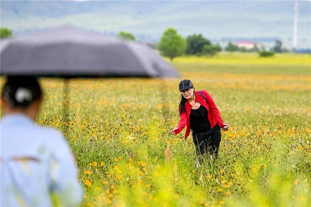 雨中漫游金莲川