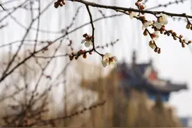 回暖开启！本周末北方进入升温“快车道”，华北等地或暖如常年4月图片