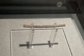 春日正当时 去河南省9家国家一级博物馆打卡吧图片