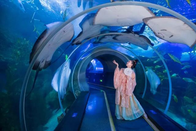 错过等12年？海底世界马年生肖特惠仅20.26元，9.9元儿童票惊喜开抢！