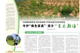 【全国生态日特别报道】记者重返案发地，探访全国首个环保法庭司法护绿成效 守护“绿色家底” 提升“生态颜值”图片