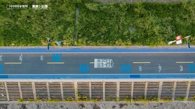 最鲜城市，请回答！