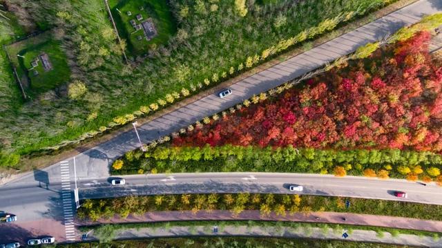 这里藏着最治愈的周末时光！