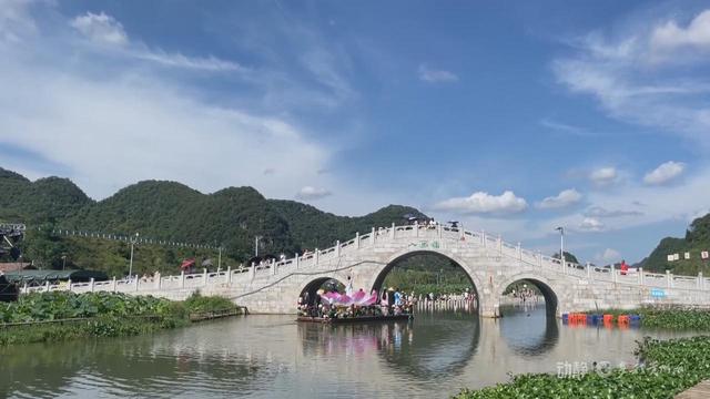 贵州以花为媒 绽放“美丽经济”