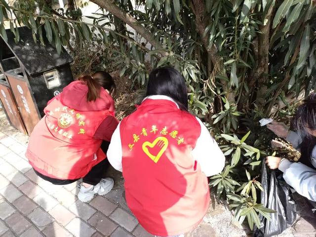 【青春护绿志愿行，环境焕新我先行】文县团委积极组织“返家乡”大学生参与环境卫生整治