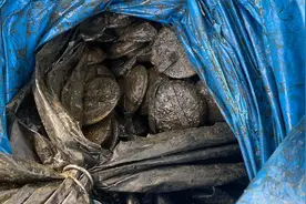 英国一男子和朋友清理河流，意外钓出近400个铁路雷管图片