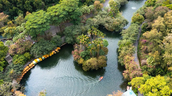 水清、岸绿、景美！越秀，“掂水”！