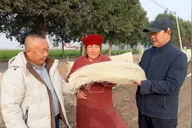 上蔡：手工粉条让村民致富有“薯”光图片