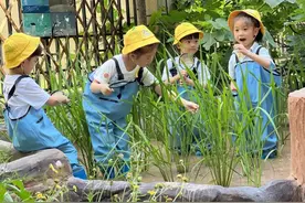 家长注意！沙坪坝区2025年幼儿园招生工作通告来了图片