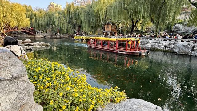 新视界｜济南护城河公园：泉水清清映垂柳 黄叶菊花别样新