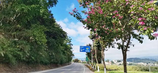 【精彩梁河】让出行成为享受 梁河公路冬日“双花”争艳