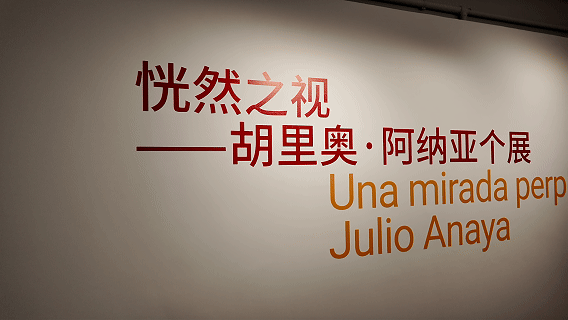 2025秋约魔都美术季，Art Walk带你解锁上海多元艺术魅力