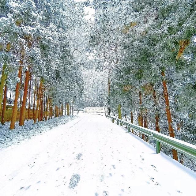 “冬游巴中·暖心之旅”三条主题线路解锁冬日限定美好