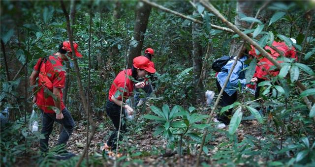 2025南酸枣之乡旅游音乐文化节暨齐云山登山节火热招募中