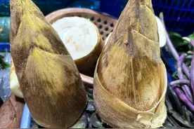 冬笋上市啦，鲜到掉眉毛！图片