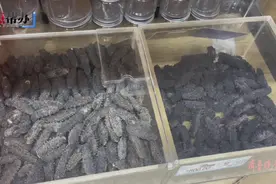 买干海参遇质量问题商家却否认，孰是孰非陷“罗生门”图片